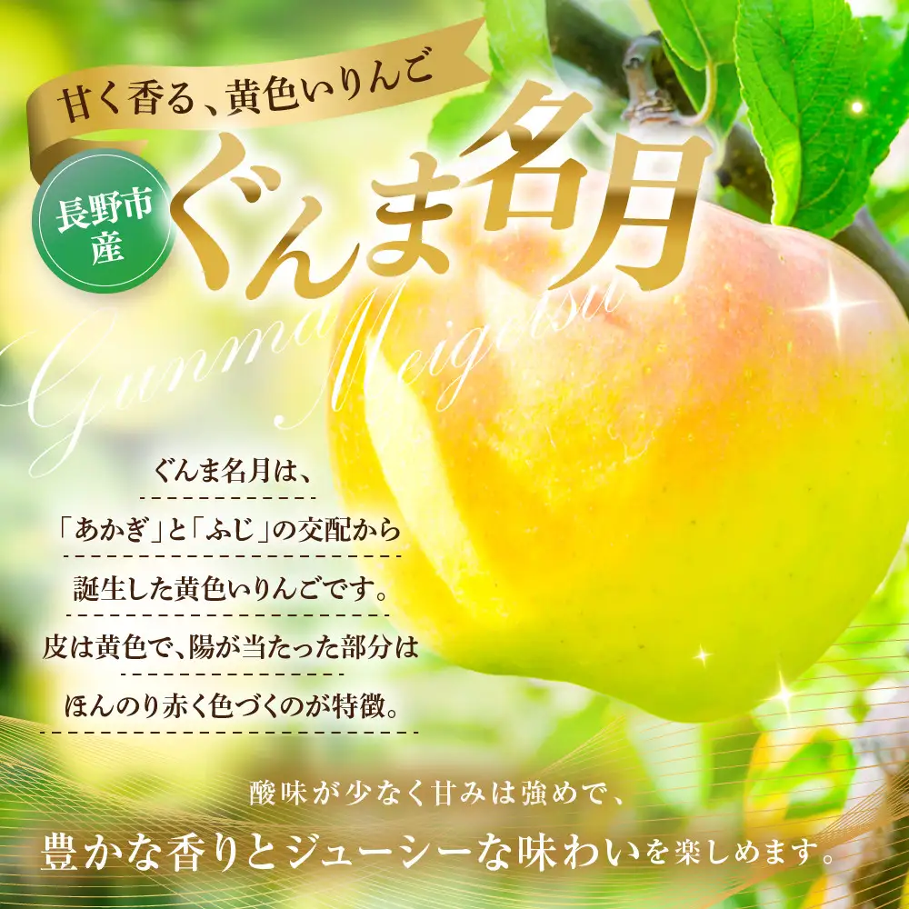 ぐんま名月3kg | りんご フルーツ 果物 りんご