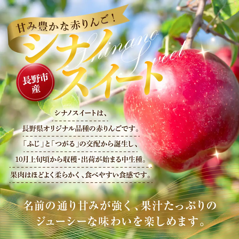 シナノスイート5kg |りんご フルーツ 果物 りんご
