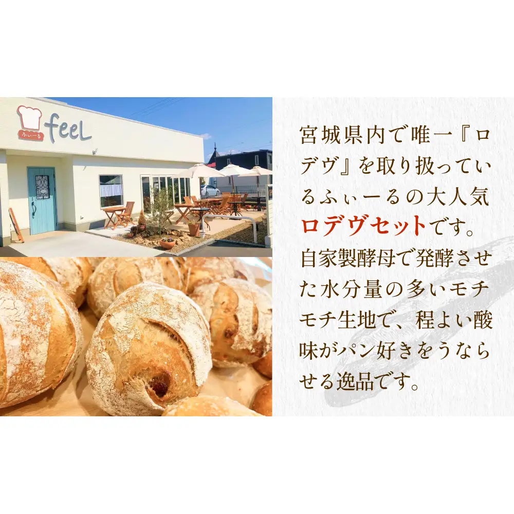 パン工房ふぃーる ロデヴ 4種類 セット パン 自家製酵母 モチモチ  プレーン レーズン くるみ オレンジピール オリーブ ハード系 冷凍 宮城県 宮城 石巻市 石巻