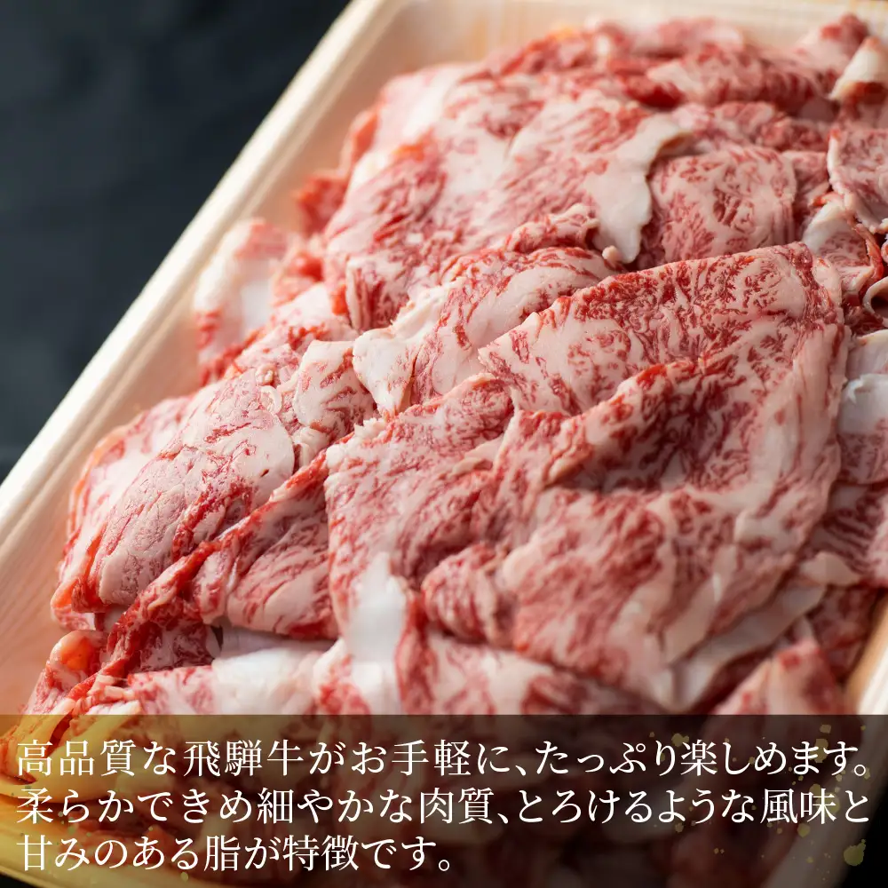 牛肉 飛騨牛 訳あり 切り落とし500g 牛肉 LR011