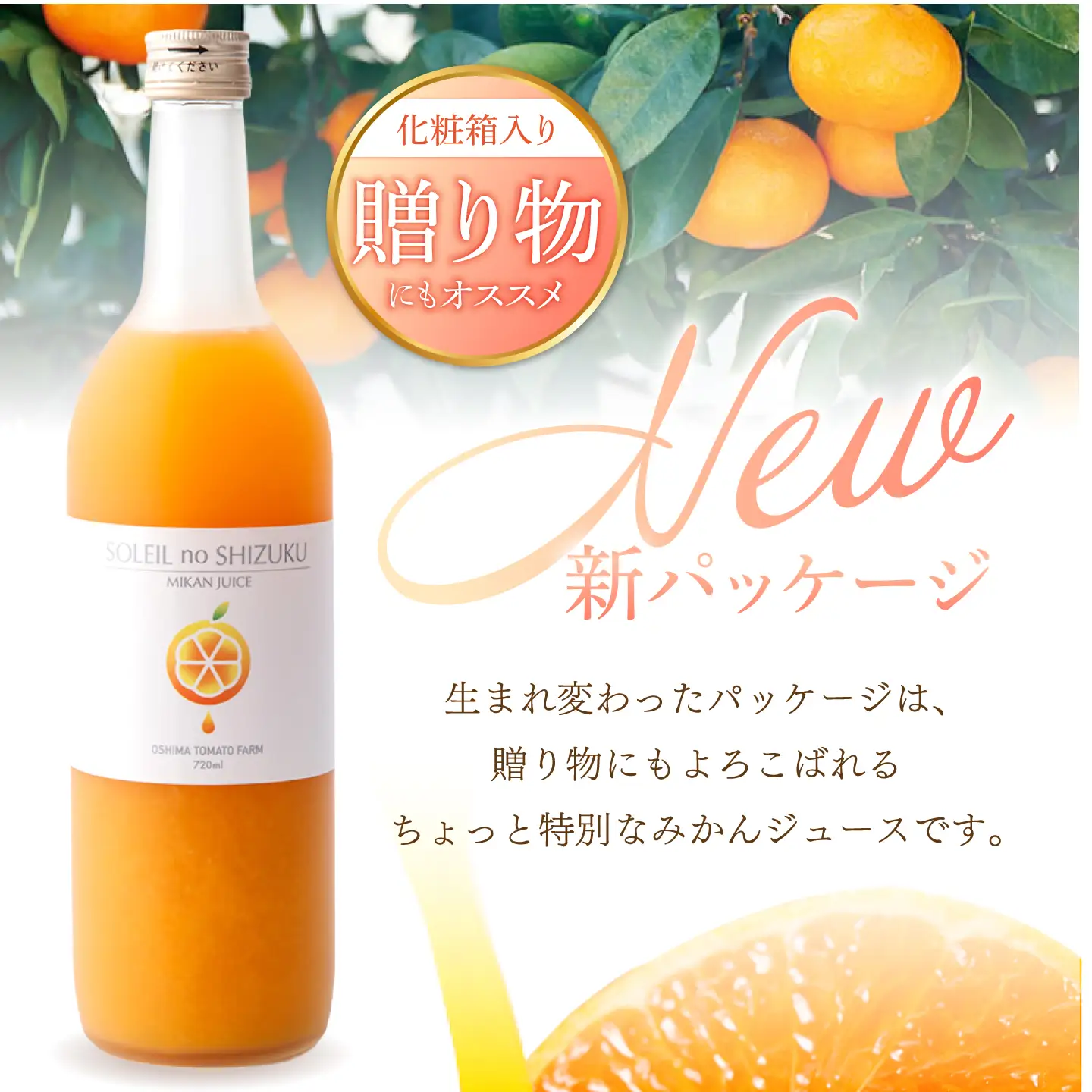 先行予約 3回定期便 原口みかんジュース ソレイユのしずく 720ml [CCK042] 原口みかん