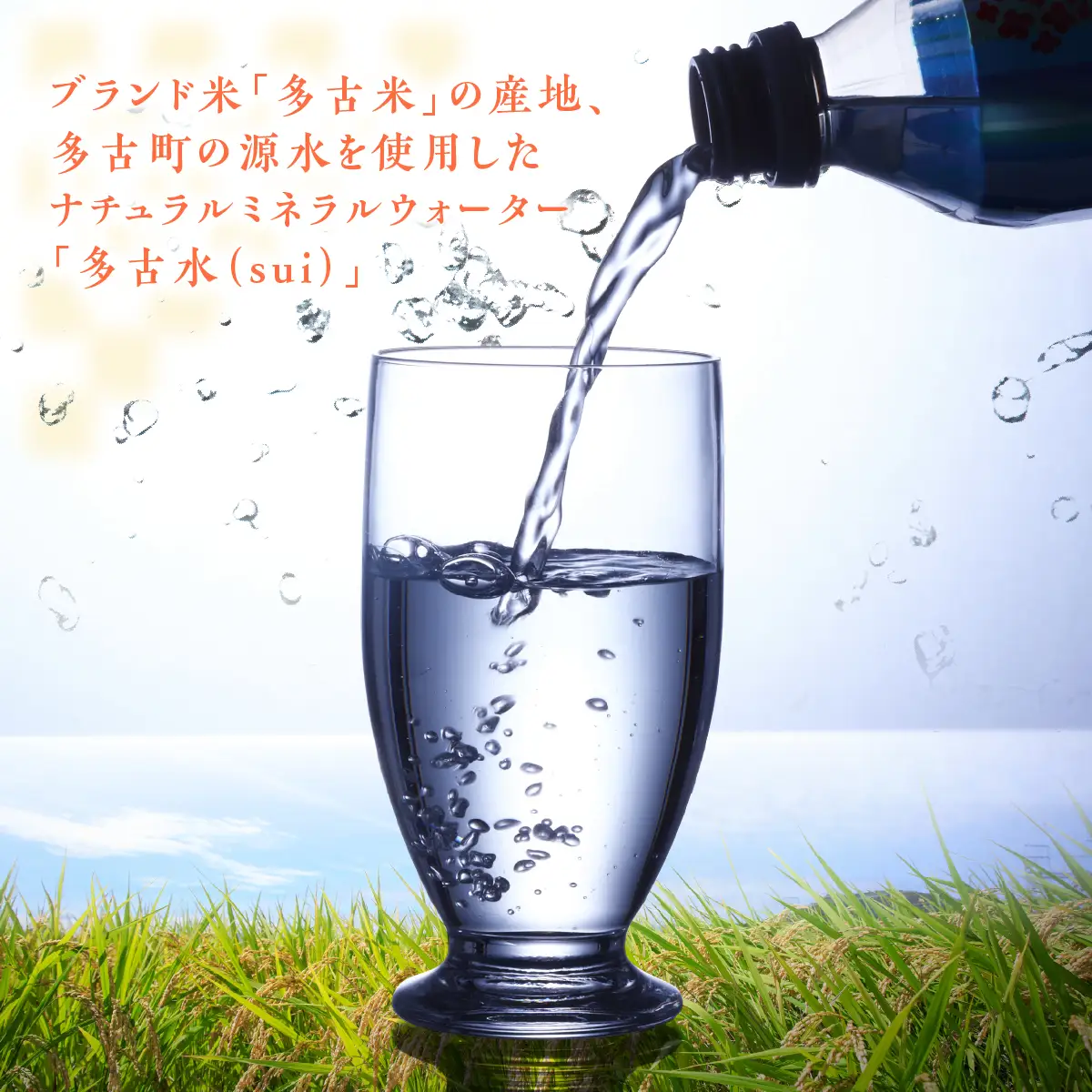 お米の町の天然水　多古水(sui)500ml×24本_飲料・ドリンク 水・ミネラルウォーター  _【配送不可地域：離島・沖縄県】 TAKS001