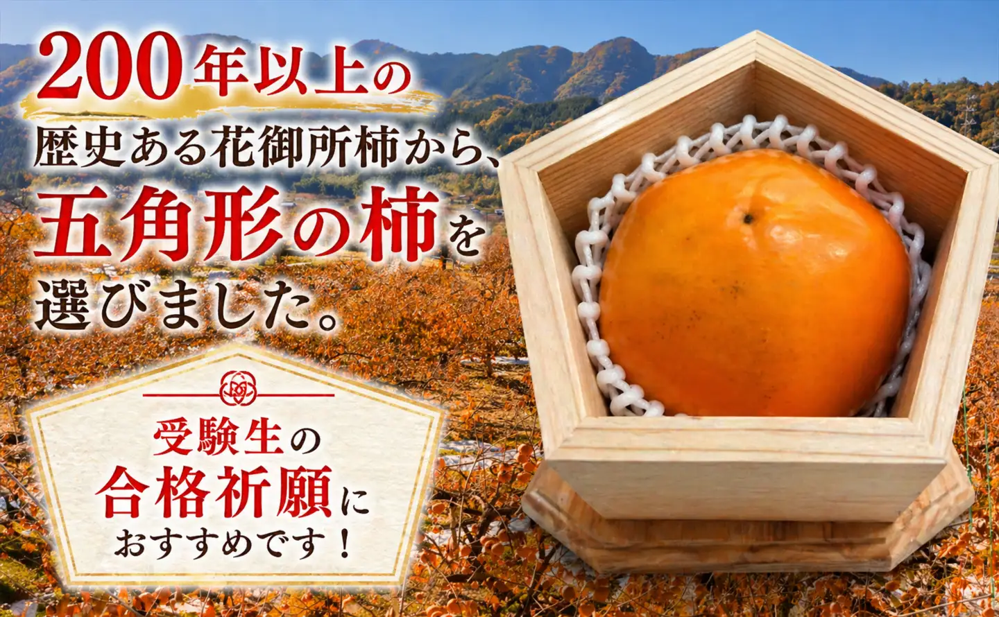 Y481 『五角形の花御所柿』 大工が作る杉の箱入り！五角柿で合格祈願！