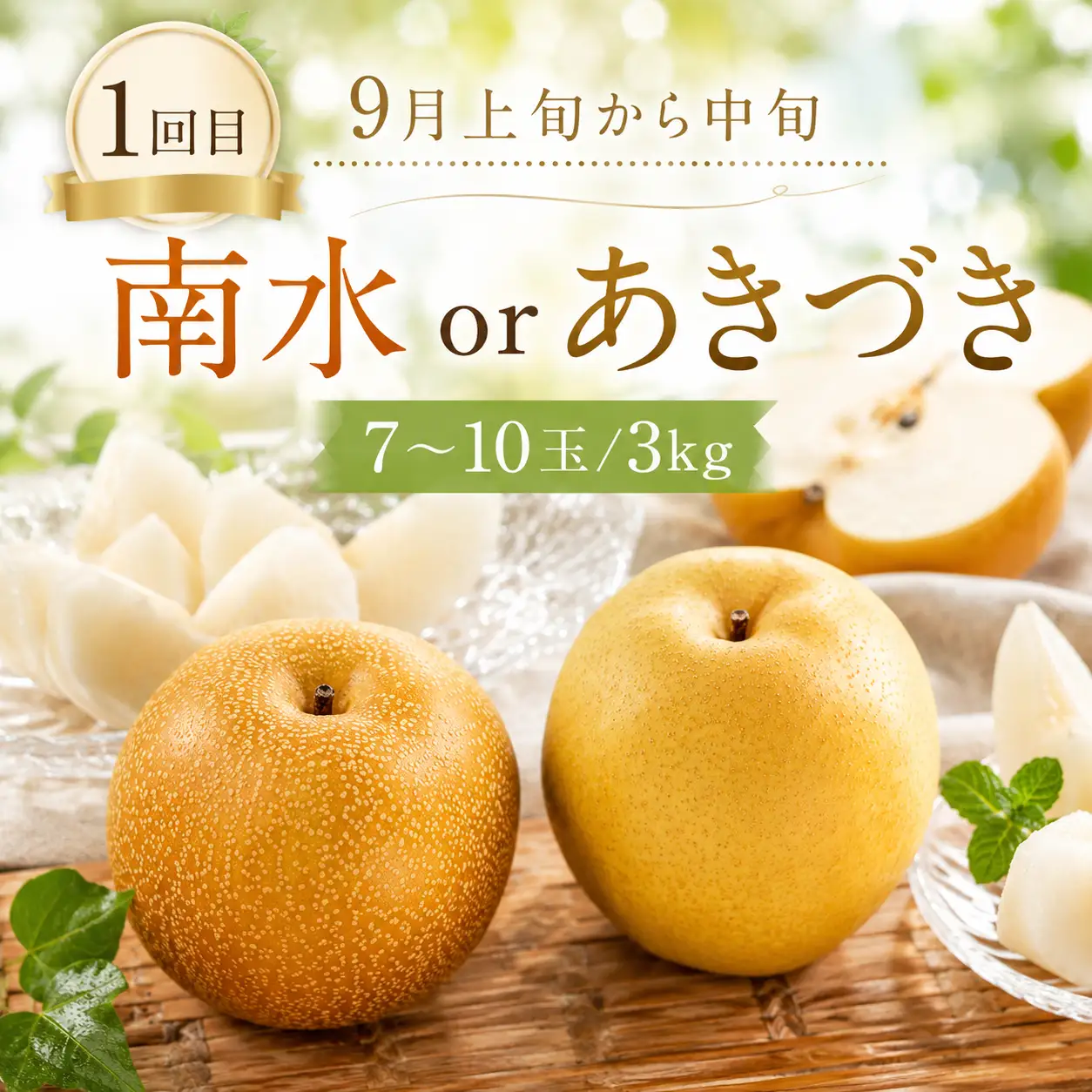 Y1063 赤梨の定期便【計3回お届け】