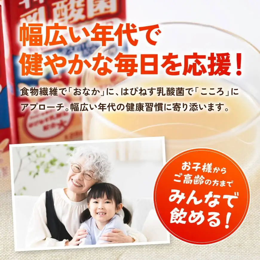 サンA イキイキ毎日乳酸菌（紙）125ml×24本 【 宮崎県 川南町 飲料類 乳酸菌 セット ジュース 紙パック 】