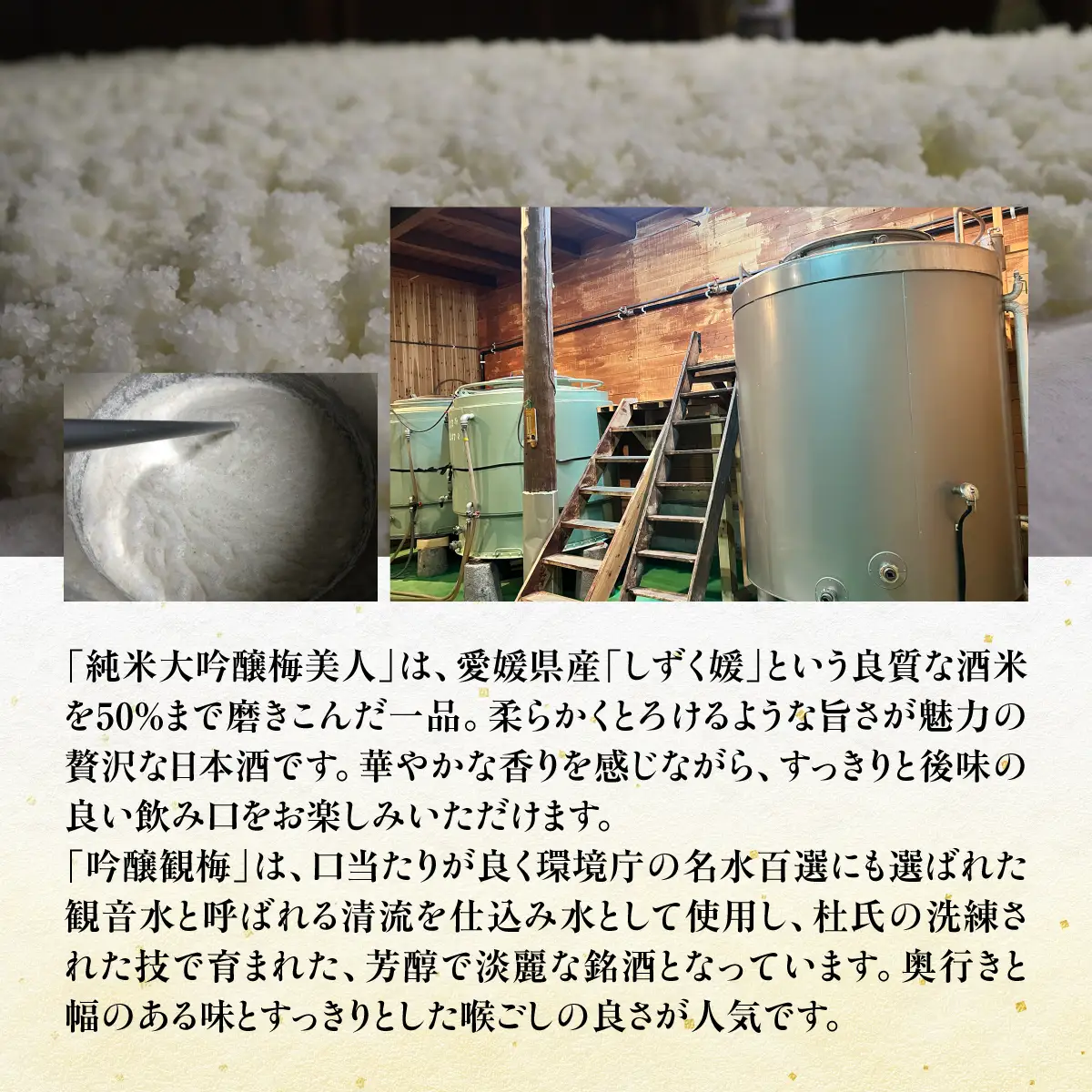 純米大吟醸梅美人720mlと吟醸観梅720mlのセット【D03-8】【1043422】 YWTO004