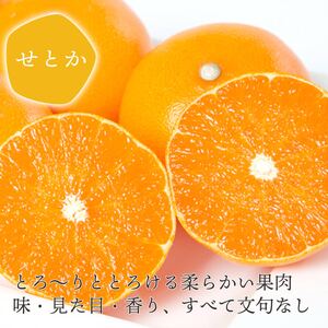 【先行受付】 とろける濃厚果肉 せとか2kg 愛媛県八幡浜産【E25-37】【1044414】 YWTAP028