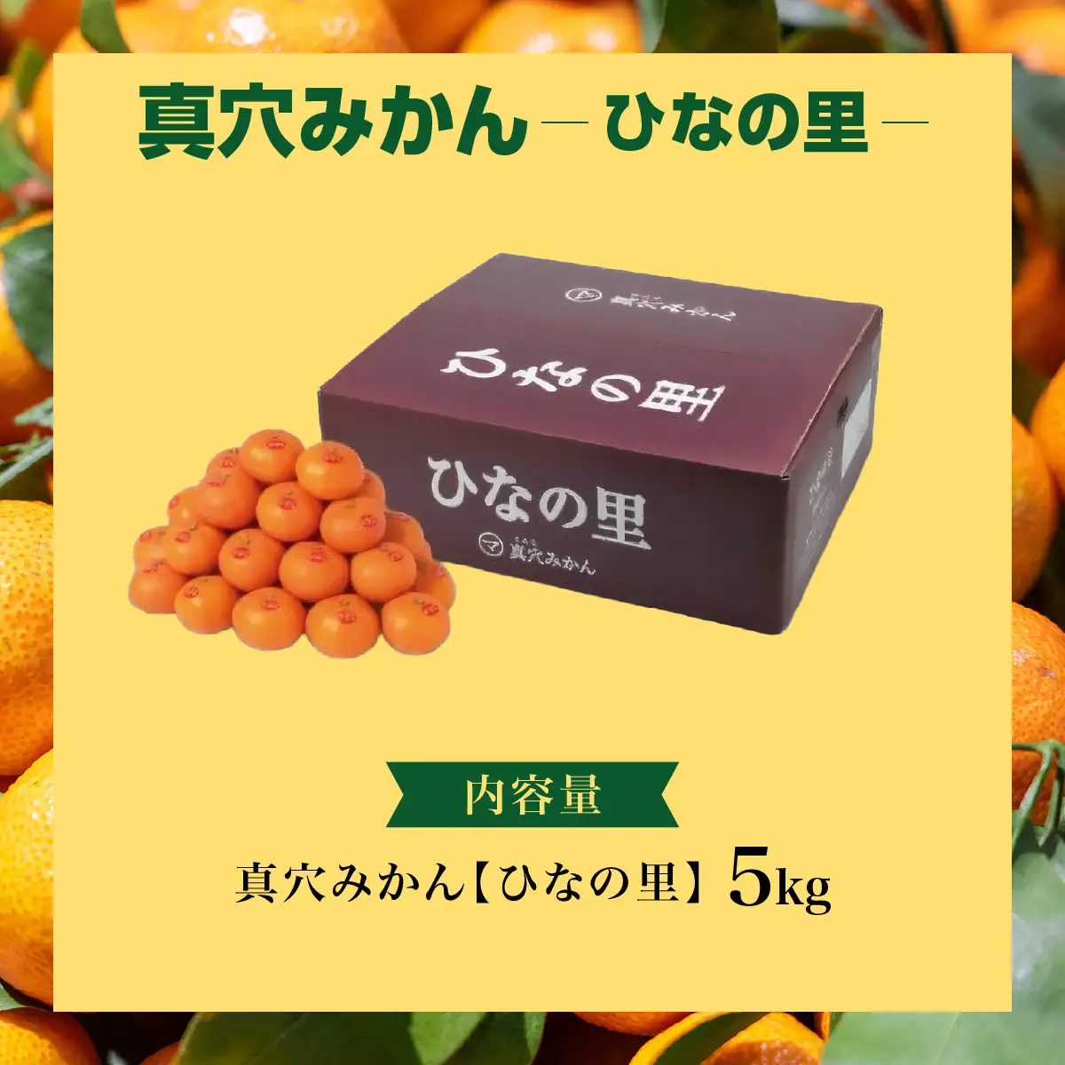 【先行受付】真穴みかん 【ひなの里】 5kg【F43-1】【1490392】 YWTAG001