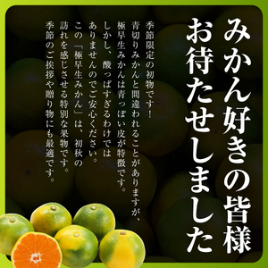 【先行受付】まもなく収穫! 極早生みかん 5kg【C31-15】【1042517】 YWTAC007