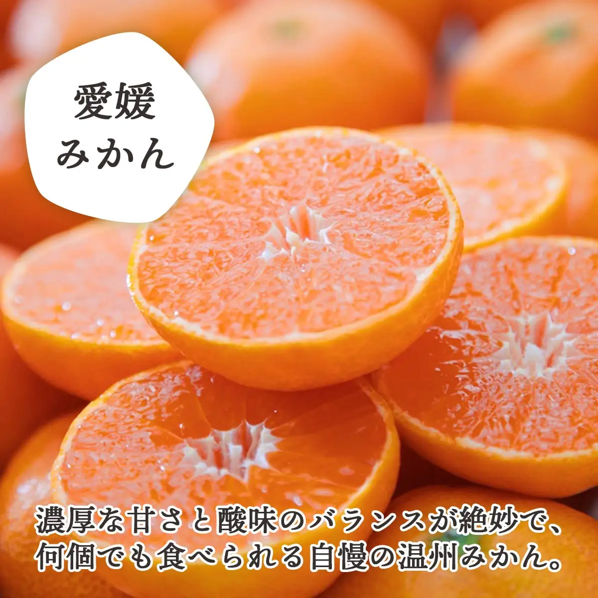 【発送月固定定期便】愛媛みかん＆みかん寒天ゼリー ミヤモトオレンジガーデン【E25-159】全2回【4050050】 YWTAP101