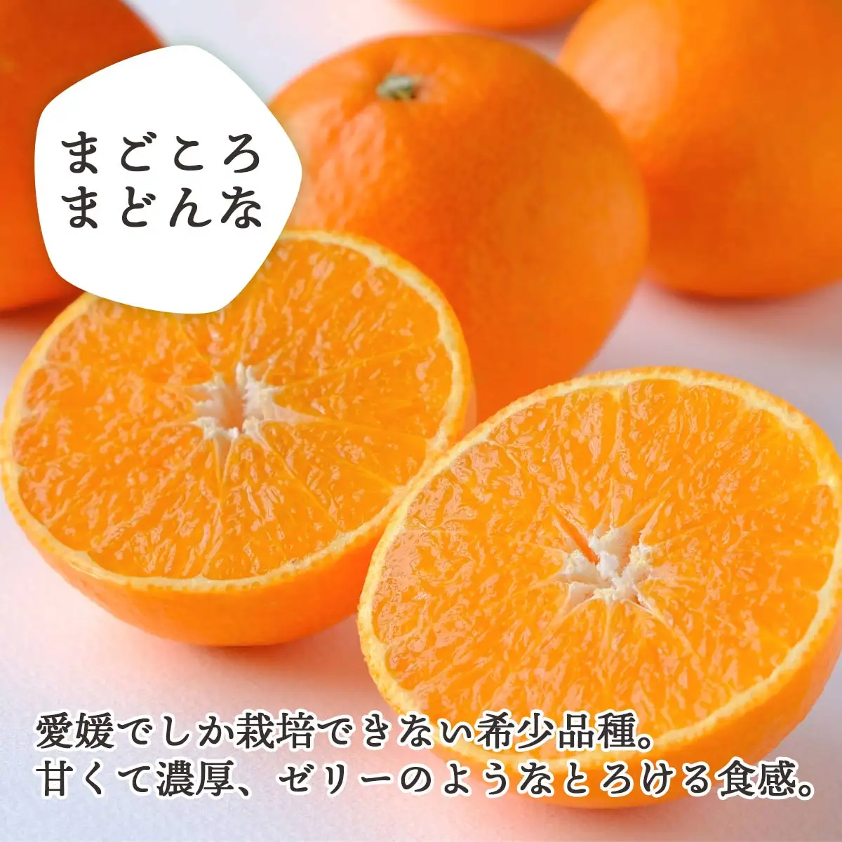 【先行受付】紅まどんなと同品種 愛媛果試28号 ギフトボックス入り6～8個【D25-91】【1346971】 YWTAP046