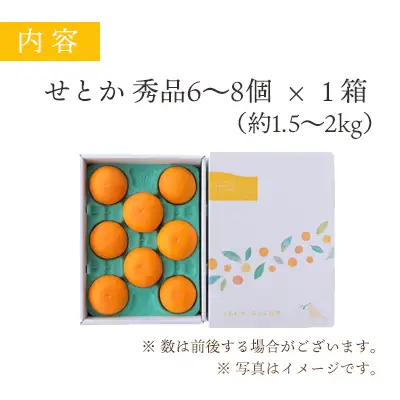 【先行受付】 とろける濃厚柑橘 せとか ギフトボックス入り【E25-98】【1360096】 YWTAP049