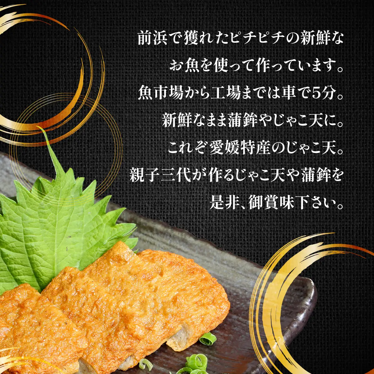 【毎月定期便】〈じゃこ天のカリスマ〉鳥津蒲鉾店の蒲鉾・じゃこ天のつめあわせ[C]全6回【H09-8】【配送不可地域：離島】【4013666】 YWTQ005