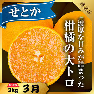【発送月固定定期便】柑橘【みかん・まどんな・せとか・ニューサマーオレンジ】【H31-46】全4回【配送不可地域：離島】【4058612】 YWTAC035