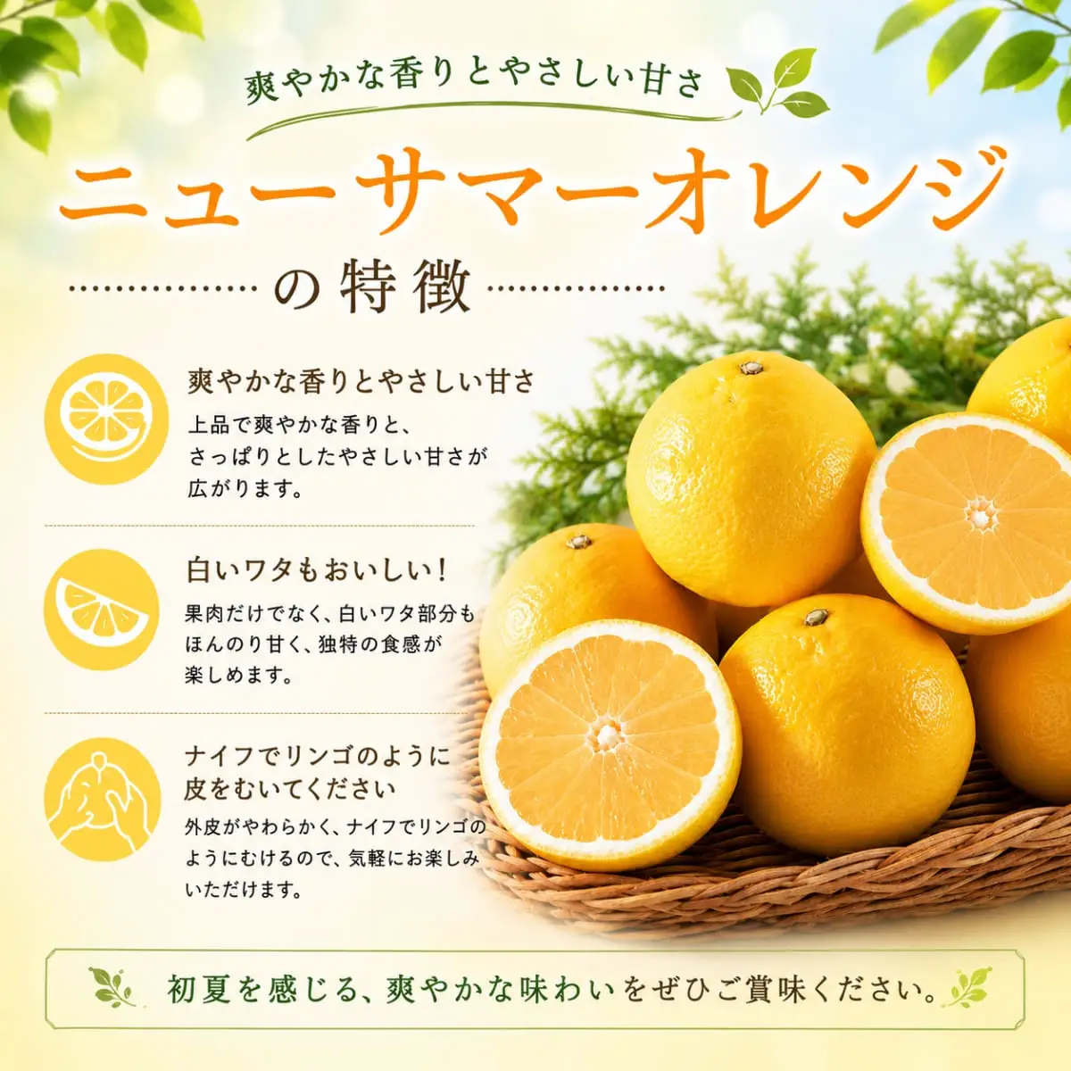 【先行受付】さわやかな香りと上品な甘さ!「ニューサマーオレンジ」約5キロ【D39-83】【配送不可地域：離島】【1649781】 YWTF058