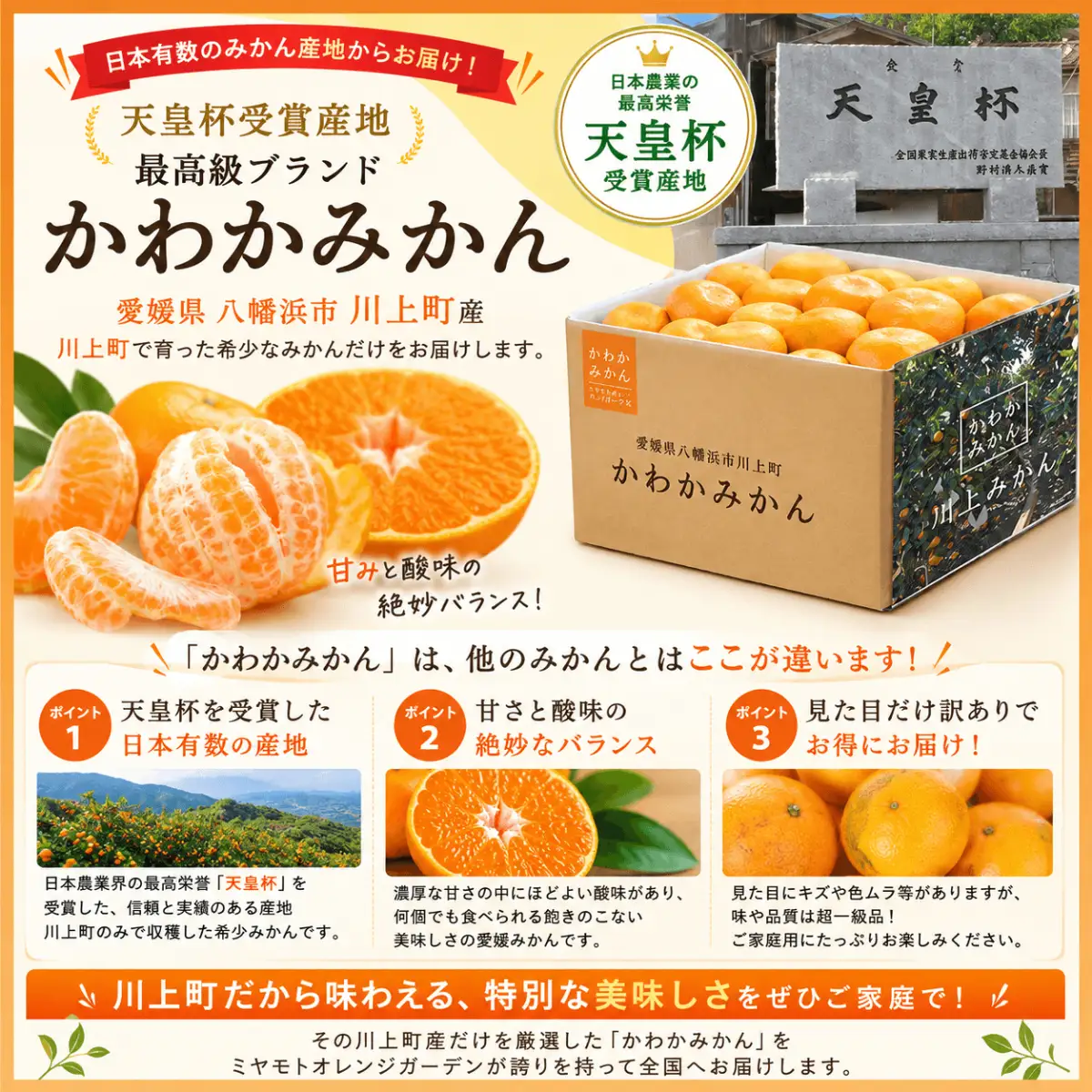 【先行受付】【天皇杯受賞産地】 愛媛県八幡浜市川上町産 温州みかん 約5kg【訳あり】【C25-247】【1654045】 YWTAP188