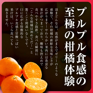 【先行受付】【冬限定の贅沢】ゼリーのような果肉!頂まどんな 2kg【D31-54】【1660046】 YWTAC043