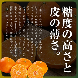 【先行受付】【愛媛限定】驚きの甘さ!幻の柑橘《甘平》2kg(M～3L玉混合)【D31-55】【1660047】 YWTAC044