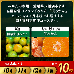 【発送月固定定期便】【4ヶ月連続】旬ごとに味わいが変化!頂みかん 2.5kg【G31-58】全4回【4073179】 YWTAC047