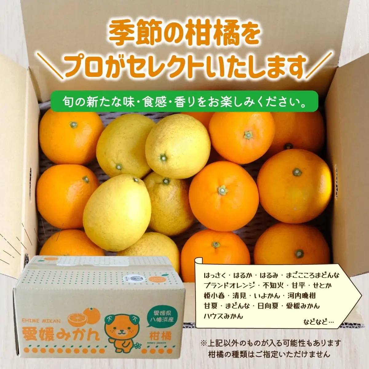 【先行受付】愛媛県八幡浜産 旬のかんきつ詰め合わせバラエティセット 計2kg【訳あり】【C25-293】【1704511】 YWTAP234