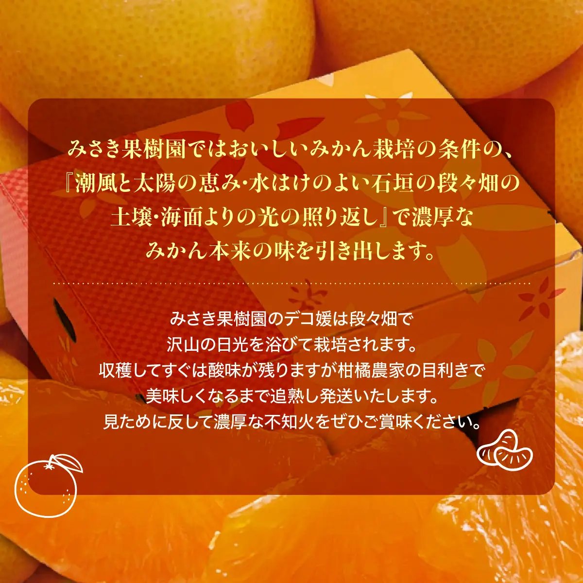 【先行受付】【訳あり】みさき果樹園の不知火5kg【A21-62】YWTBC043