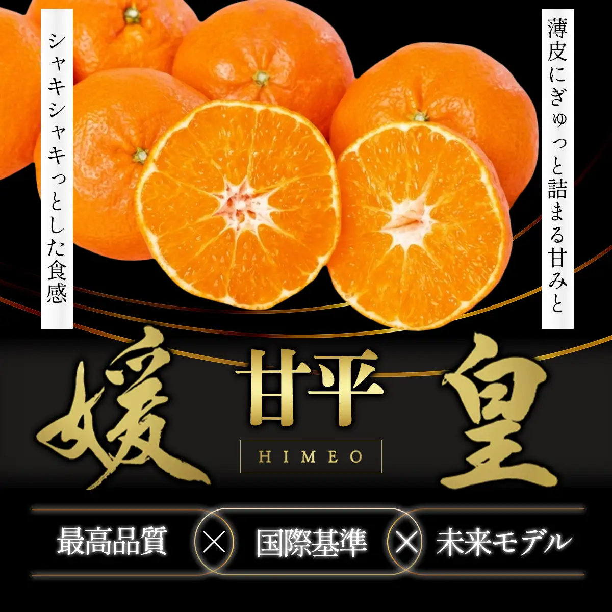 【先行受付】最高級みかん 媛皇 甘平 3kg 愛媛県 八幡浜産 西宇和地区 扁平で濃い味【E25-310】【1713686】 YWTAP251