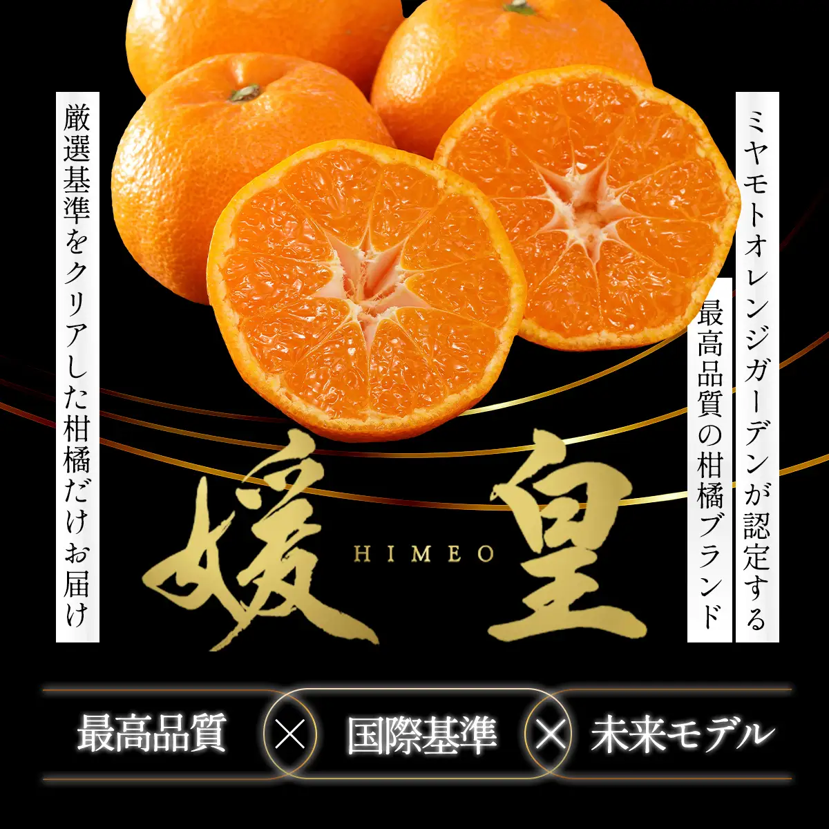 【先行受付】最高級みかん 媛皇 甘平×まどんな 3kg「紅プリンセス」と同品種 愛媛果試48号【E25-313】【1713689】 YWTAP254