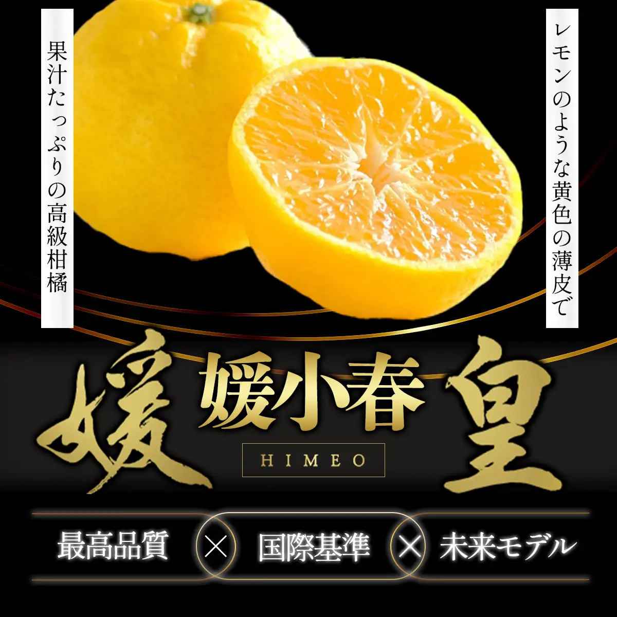【先行受付】最高級みかん 媛皇 媛小春 4kg 愛媛県 八幡浜市 希少な幻の柑橘 黄色【H25-321】【1714065】 YWTAP262