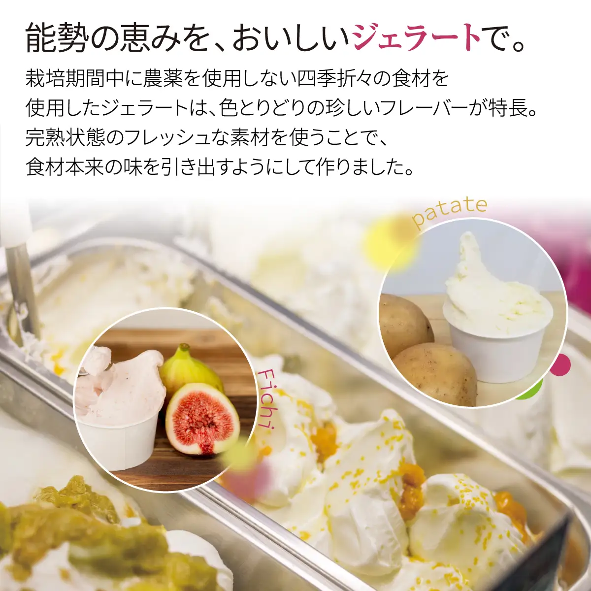 【能勢倶楽部ジェラート工房 】農家ジェラート10個セット 里山の恵みをアイスでお届け | ジェラート アイス アイスクリーム スイーツ デザート おやつ 手作り | 農家直送 旬 季節限定 栗 ミルク 詰め合わせ お取り寄せ ギフト | 大阪府 能勢町 送料無料
