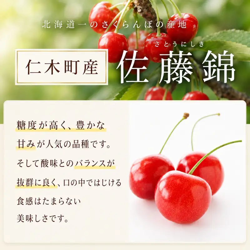 さくらんぼ 360g 佐藤錦 Lサイズ サクランボ
