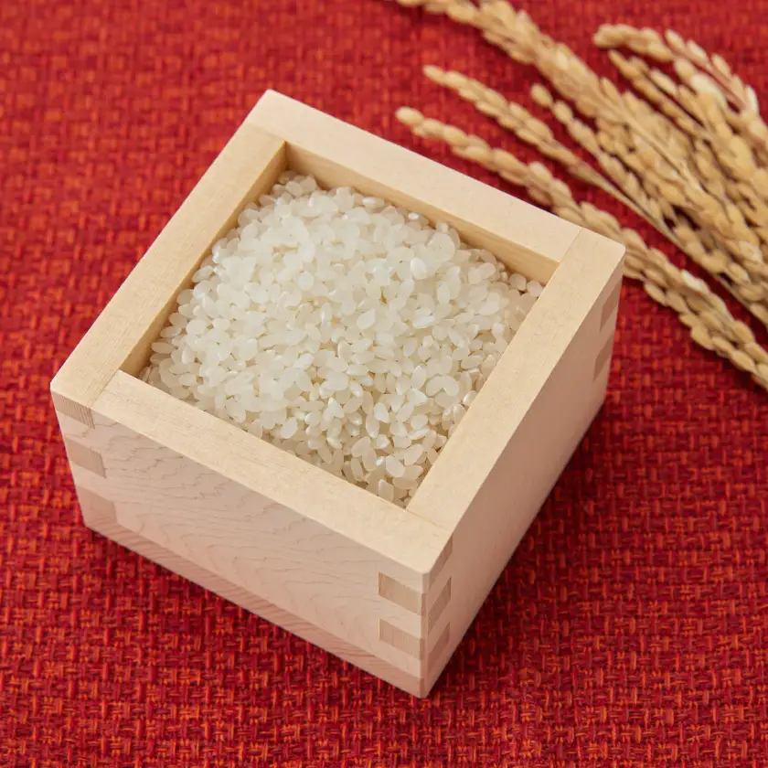 【先行受付】数量限定!令和8年新米 京都与謝野町産コシヒカリ「京の豆っこ米」　精米5kg　農家直送【1725123】