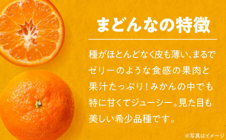 まどんな（10-12玉）【11月下旬から順次発送】まどんな みかん [AGBT006]