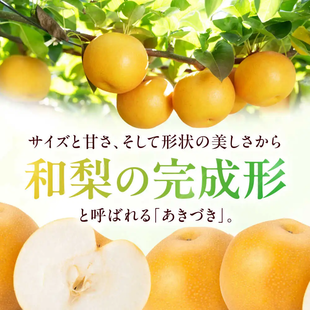 梨【2025年9月中旬から順次発送】特選 あきづき 梨 2kg（5個から7個入り）[AGBD008]