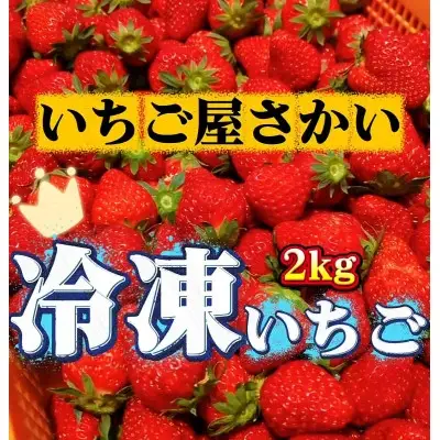 いちご 冷凍いちご 1kg 2袋 計2kg
