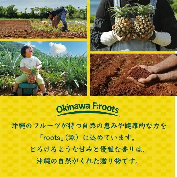 石垣島産 パイナップルジュース 500ml×2本