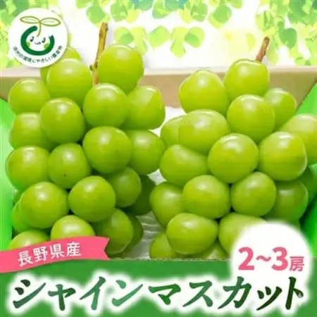【発送月固定定期便】巨峰・シャインマスカット・美味しいサンふじ林檎全3回【配送不可地域：離島】【4082870】