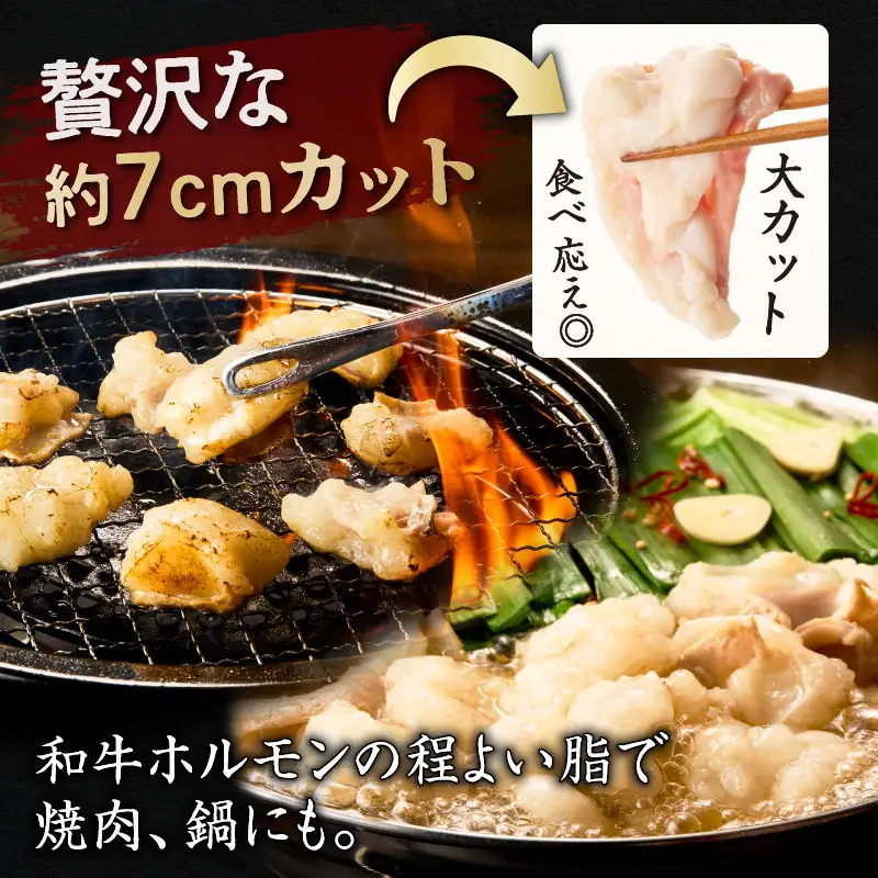 カット ホルモン K137-002 肉 牛 牛肉 冷凍
