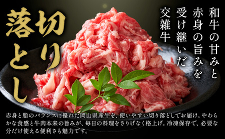 【6ヶ月定期便】岡山県産牛 切り落とし 交雑牛 1kg お試し 大容量