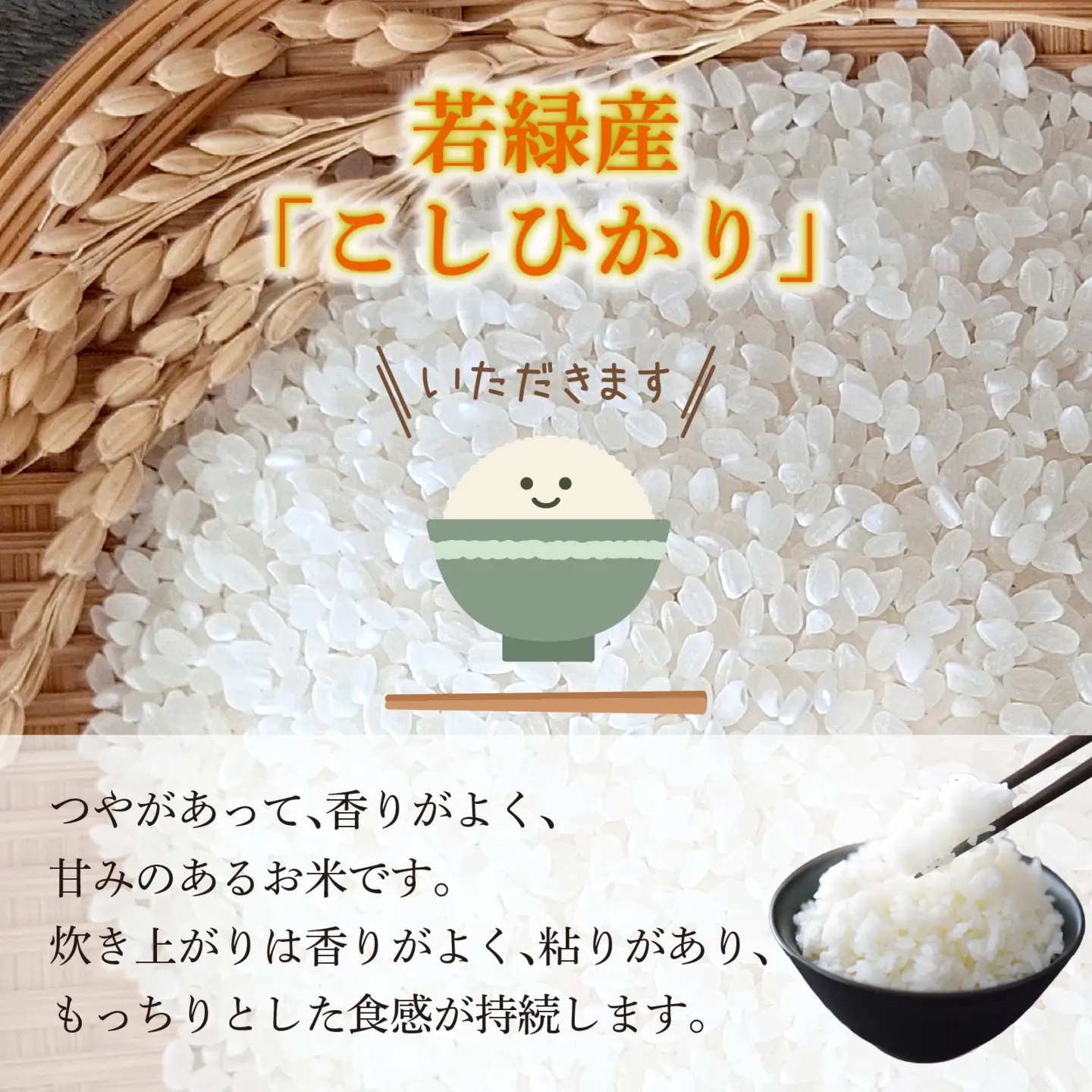 【先行予約】こしひかり 10kg【2027年1月発送】｜ コシヒカリ お米