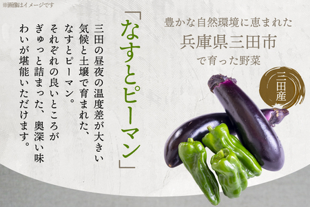 三田で育ったなすとピーマンのビーフシチュー 100食入