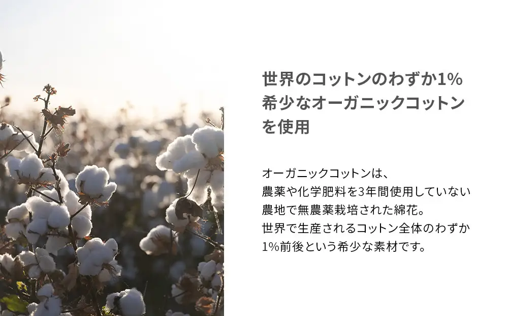 【男女兼用 LLサイズ ネイビー】ReDリカバリーウェア スリープ オーガニックコットンパジャマ上下セット 部屋着 疲労回復 血行促進 一般医療機器 バイタルテック