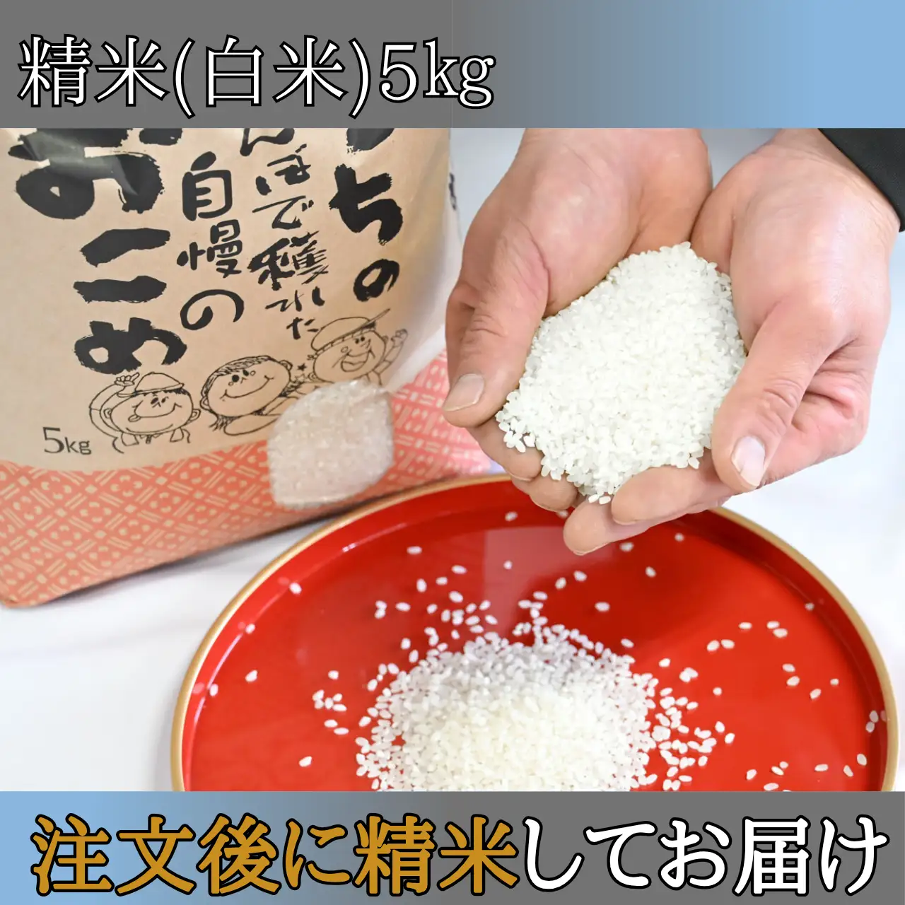 コシヒカリ 片岸さんち 白米 5kg コシヒカリ
