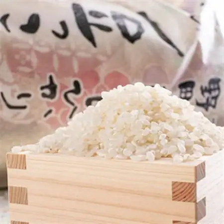 【2ヵ月毎定期便】京都与謝野町産コシヒカリ「京の豆っこ米」精米10kg【高島屋選定品】全6回【4084639】