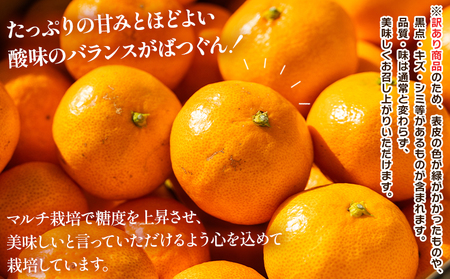 【２回定期便】みかん 5kg 柑橘詰合せ 先行受付 みかん Ｗmn-0017