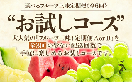 【先行予約】【定期便 3回コース】坂井市フルーツ三昧！！お試し3回コース (アールスメロン1玉 ＆ シャインマスカット1房 ＆ 大玉スイカ1玉) 【2027年6月中旬以降順次発送予定】 [E-3216]