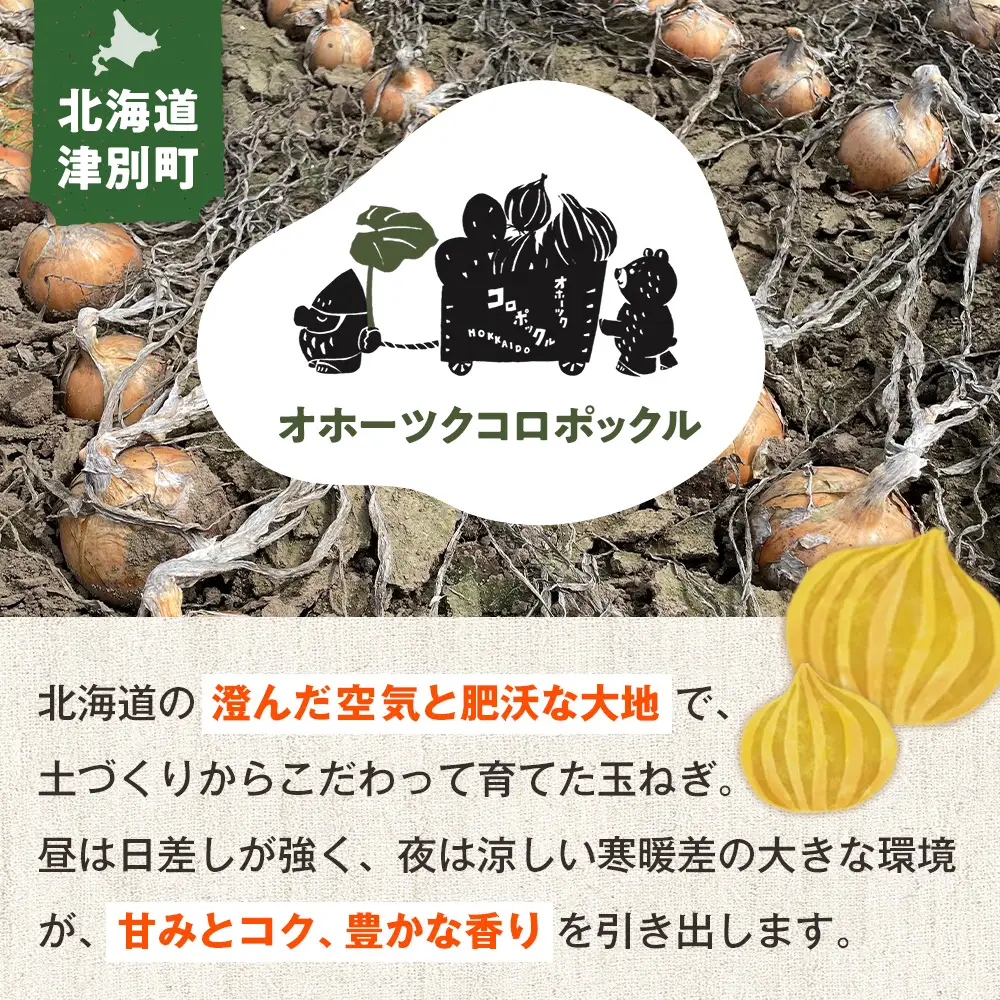 R8年産 玉ねぎ （M玉・S玉混合） 10kg オホーツクコロポックル | 北海道津別町