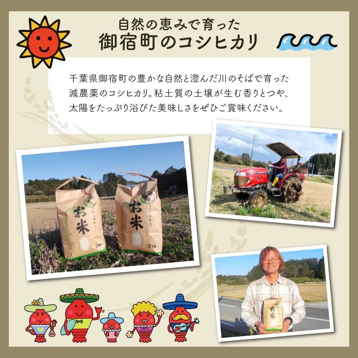 みのやファーム耕作放棄地解消応援米　こしひかり　3ｋｇ（玄米）ONJF005