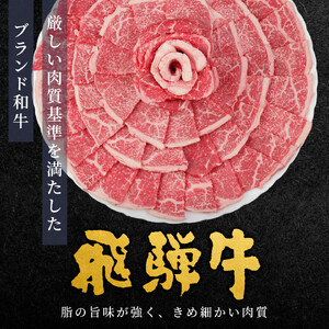 【最短発送】 飛騨牛 もも 焼肉 500g BBQ 赤身 小分け 肉のひぐち