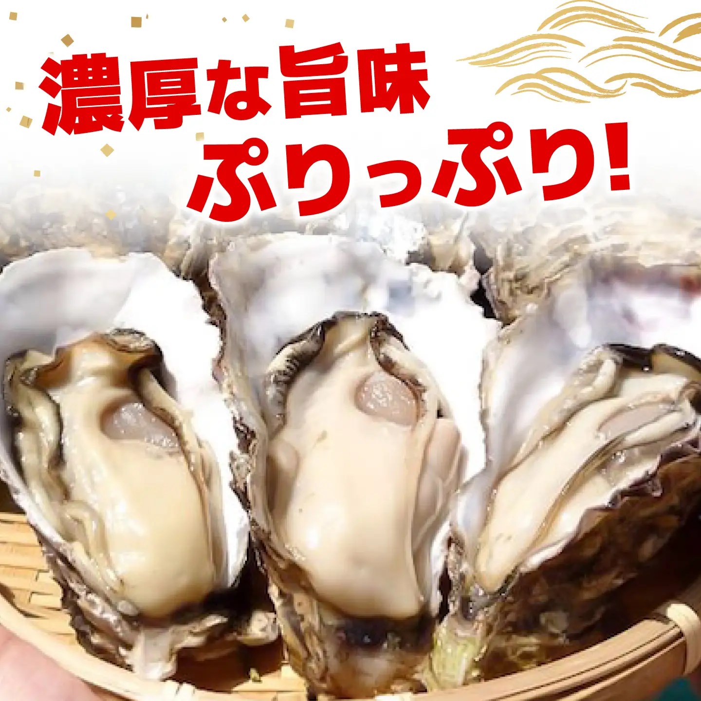 特選 牡蠣三昧！【瞬間冷凍】広島牡蠣　生食用　殻付き1kg カキ かき 広島 料理 簡単 魚介類 海鮮 ギフト 広島県産 江田島市/株式会社門林水産[XAO064]