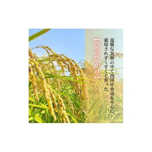 愛媛県産ひのひかり5kg